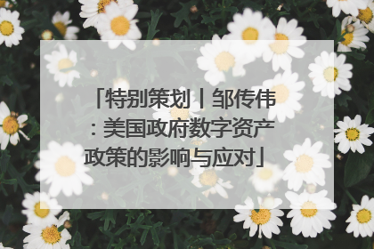 特别策划丨邹传伟：美国政府数字资产政策的影响与应对